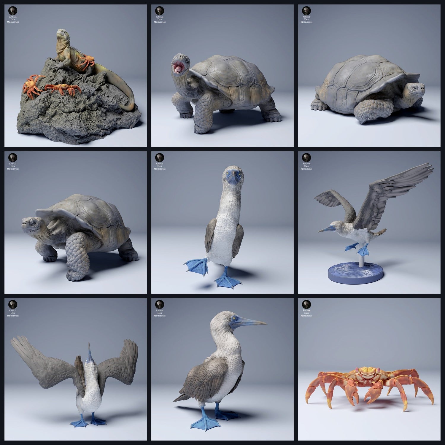 Dieses Bild ist das Kategoriebild für das Release 24_08: Galápagos-Tierminiaturen und Tierfiguren für Diorama und Modellbau