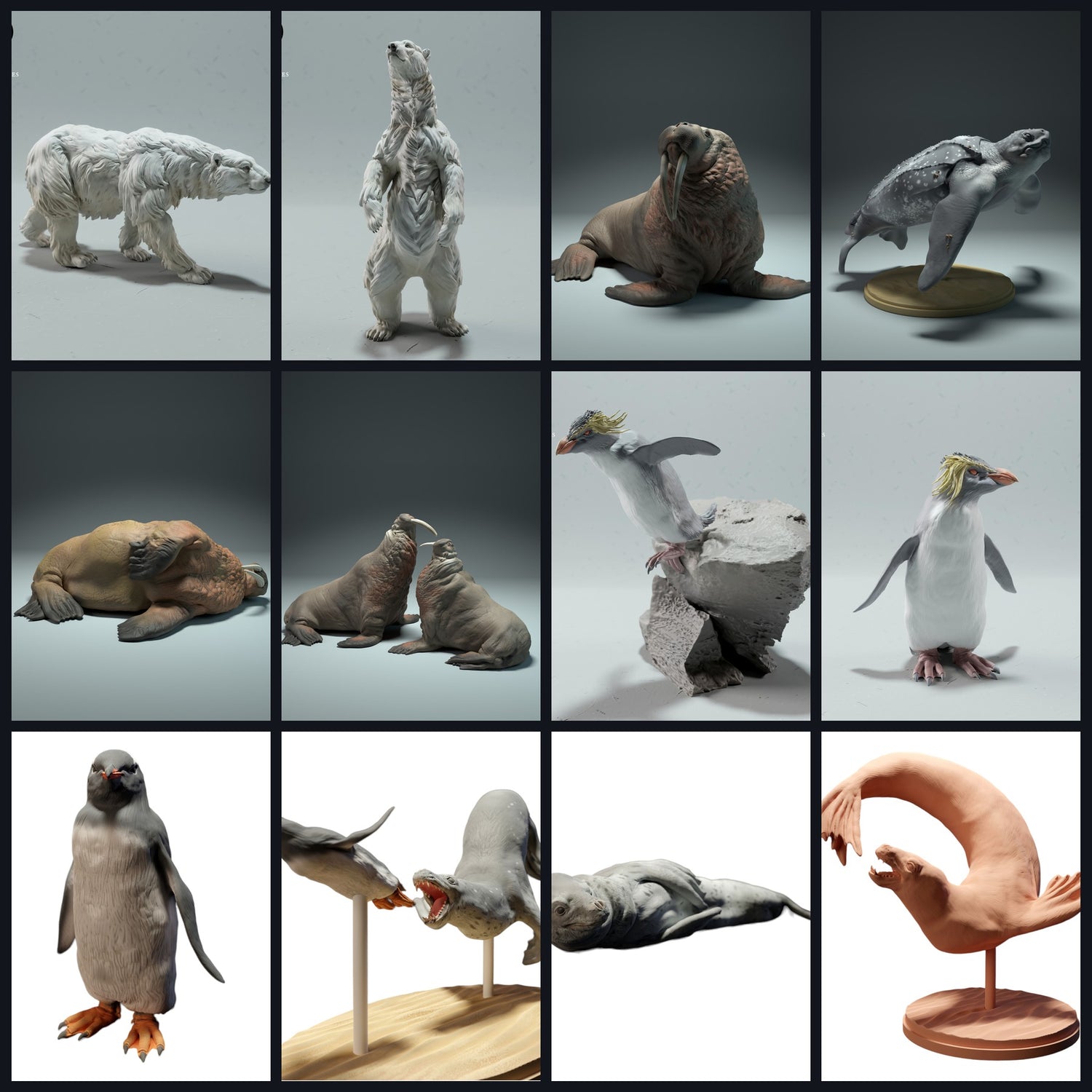 Dieses Bild ist das Kategoriebild für Lebensraum: Küste & Flachmeer (Riffe/Ästuare)