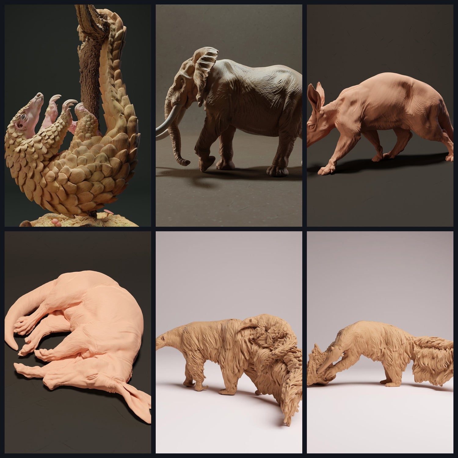 Dieses Bild ist das Kategoriebild für Tierart: Exoten-Säuger