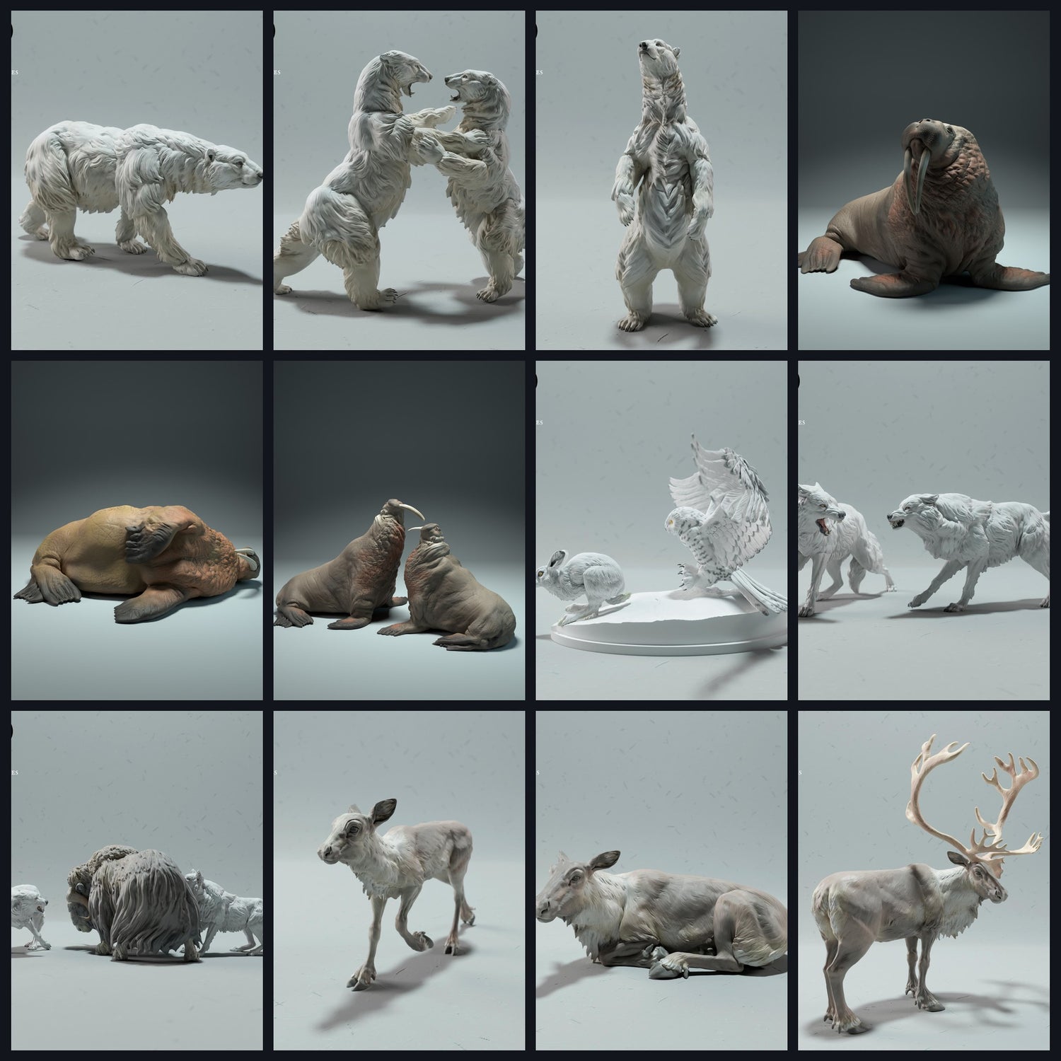 Dieses Bild ist das Kategoriebild für Lebensraum: Tundra/Polar