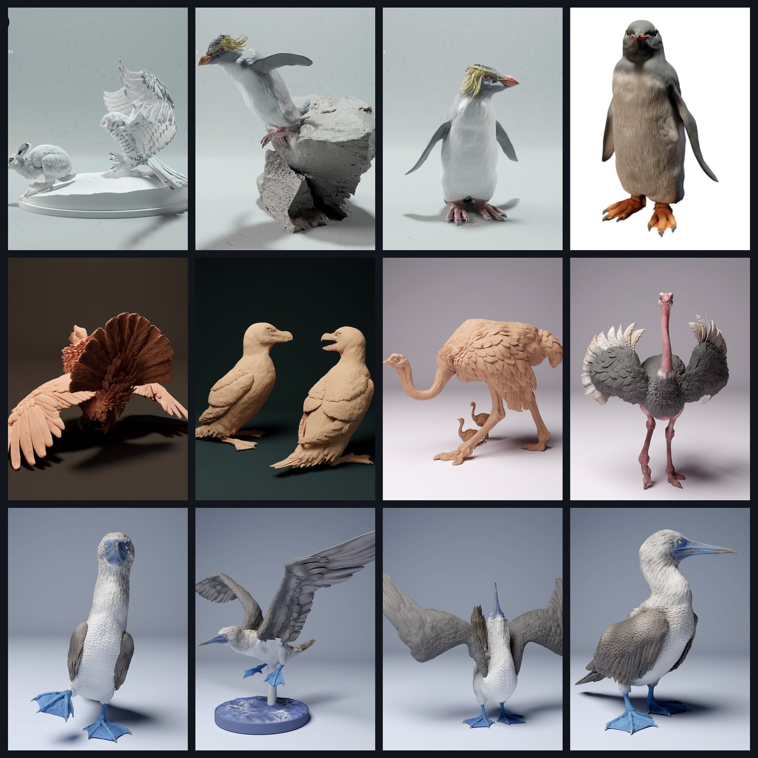 Dieses Bild ist das Kategoriebild für Tierart: Vögel (inkl. Pinguine)