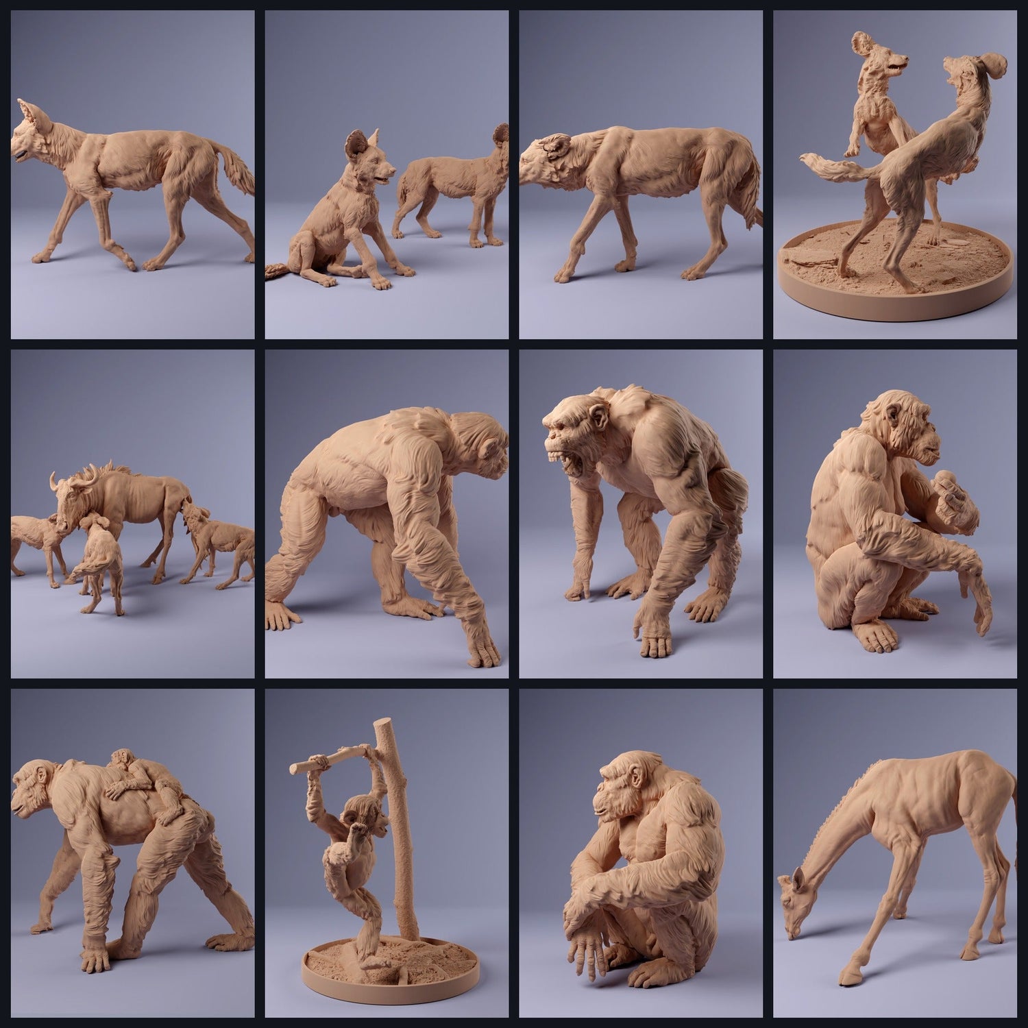 Dieses Bild ist das Kategoriebild für das Release 24_02: Afrikanische Tierminiaturen & Tierfiguren für Diorama und Modellbau