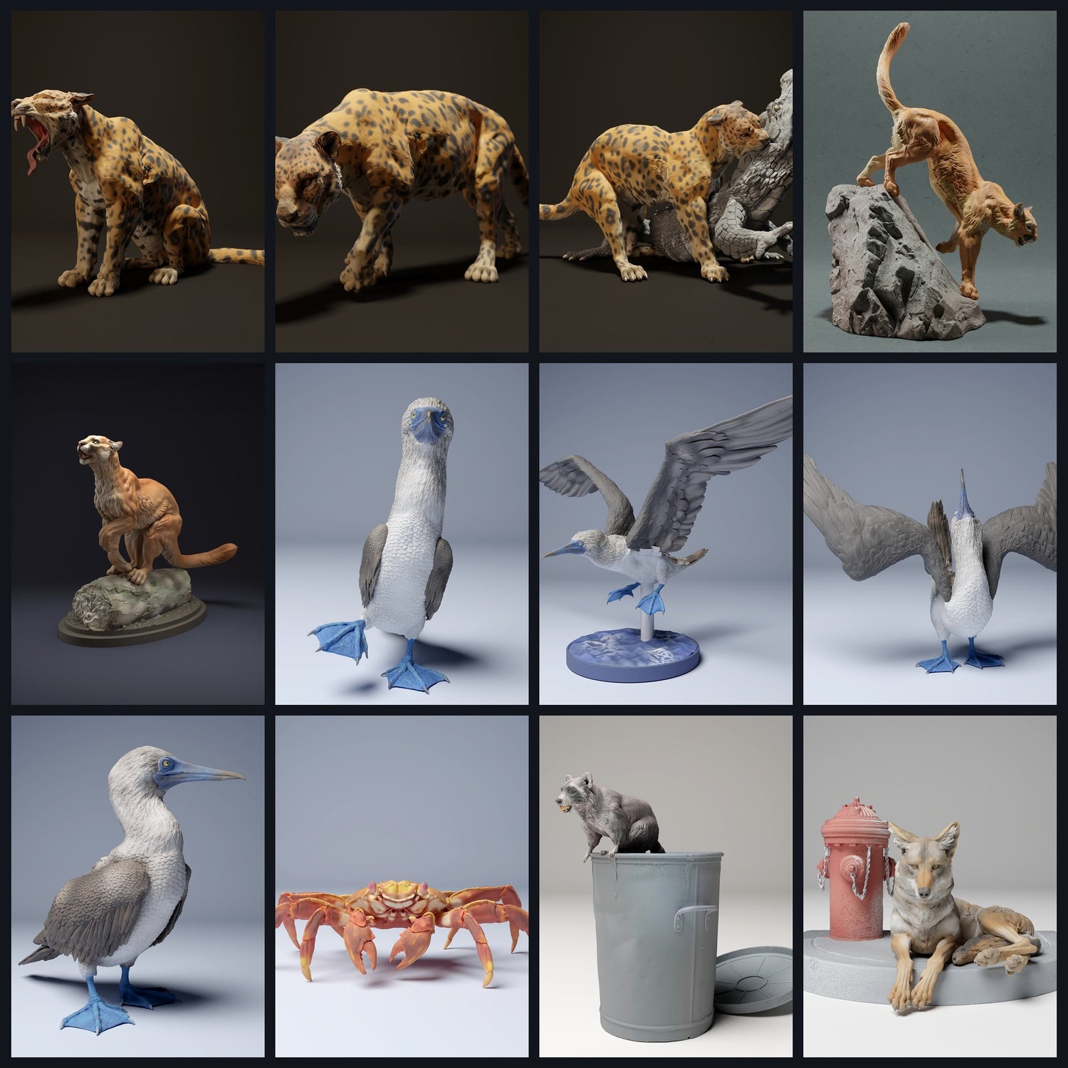 Dieses Bild ist das Kategoriebild für Region: Mittelamerika