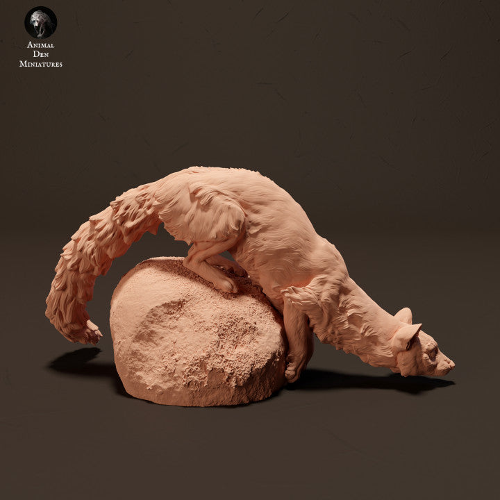 Produktfoto Tier Figur Diorama, Modellbau: 0: Ginsterkatze/ Genet auf Felsen: Tiere aus Afrika