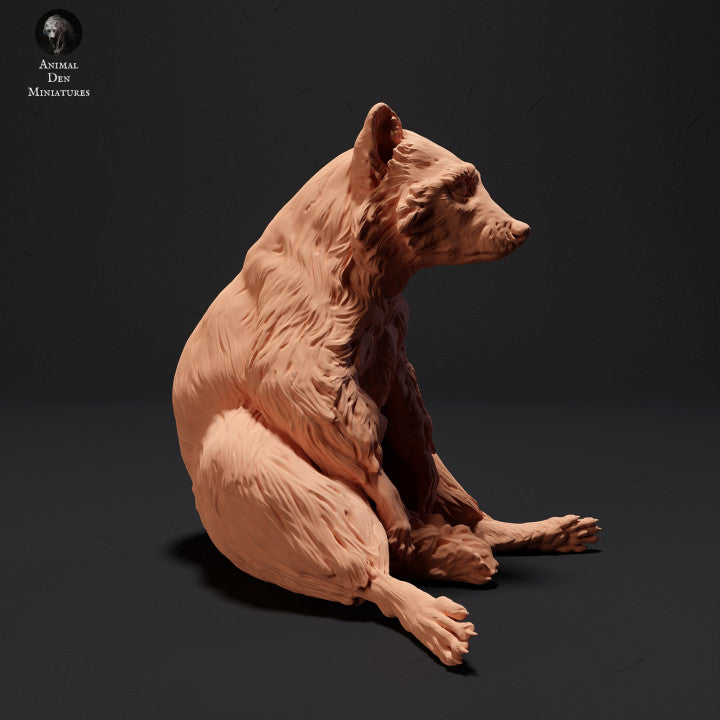 Produktfoto Tier Figur Diorama, Modellbau: 0: Waschbär sitzend: Tiere des Nordens