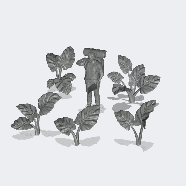 Produktfoto Miniatur Möbel, Einrichtung Diorama und Modellbau 0: Pflanzen und Gewächse: 5 Elefantenohrpflanzen - Alocasia Odora