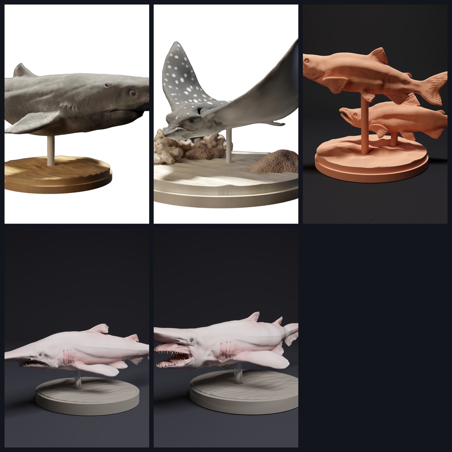 Dieses Bild ist das Kategoriebild für Tierart: Fische & Knorpelfische