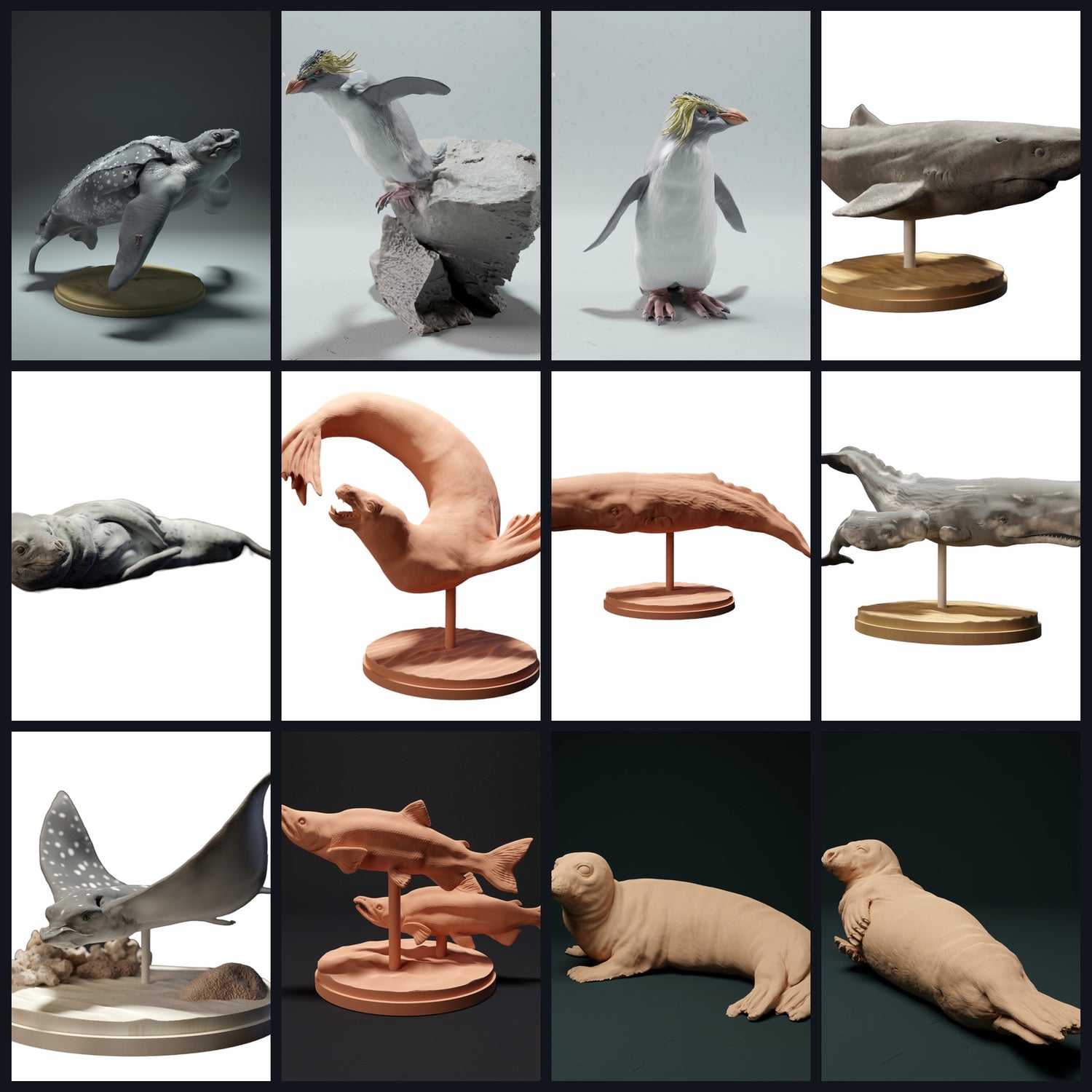 Dieses Bild ist das Kategoriebild für Lebensraum: Offener Ozean