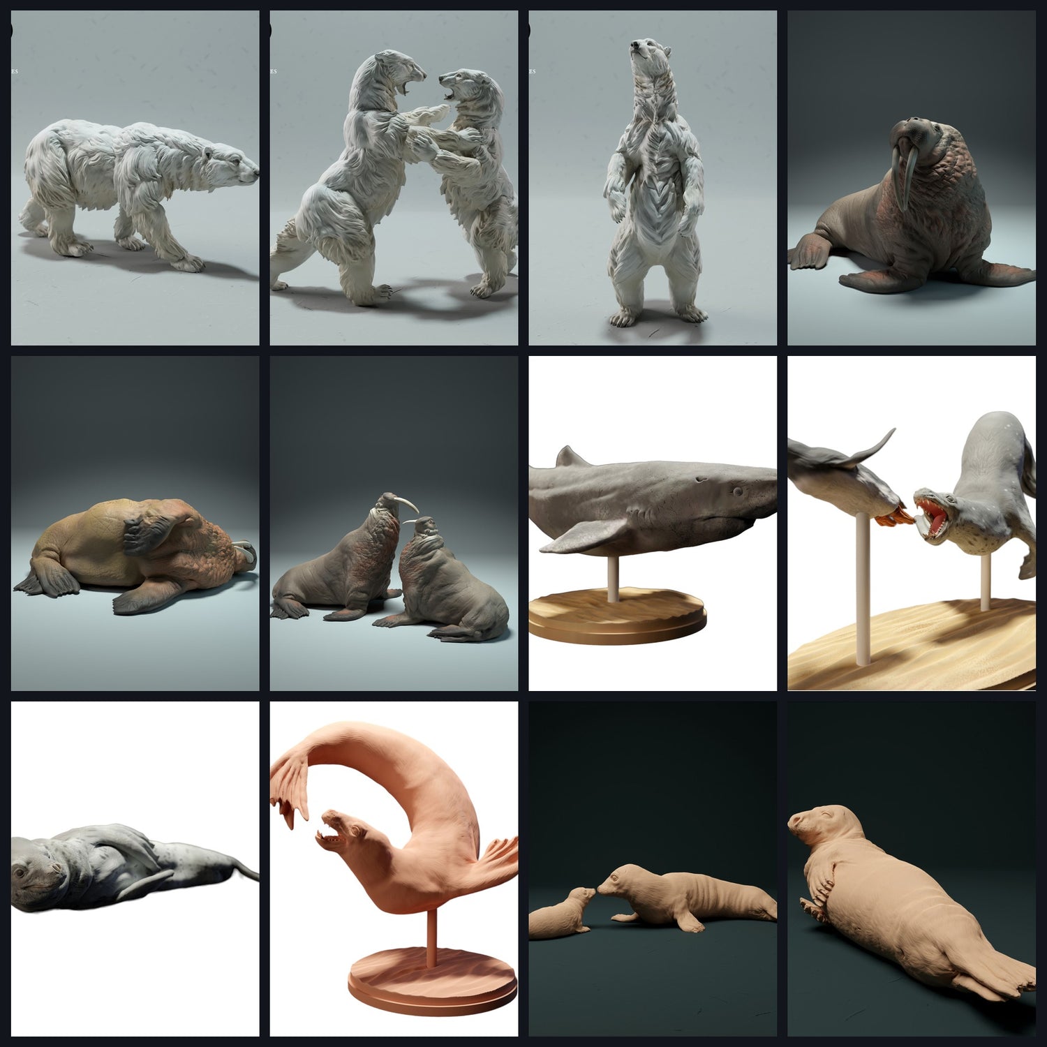 Dieses Bild ist das Kategoriebild für Lebensraum: Polarmeer