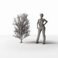 Diorama Modellbau Produktfoto 1: Diorama Pflanzen: Hoher kahler Baum mit Wurzeln (Ref. 1092D)