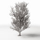 Diorama Modellbau Produktfoto 0: Diorama Pflanzen: Hoher kahler Baum mit Wurzeln (Ref. 1092D)