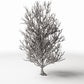 Diorama Modellbau Produktfoto 3: Diorama Pflanzen: Hoher kahler Baum mit Wurzeln (Ref. 1092D)