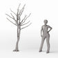 Diorama Modellbau Produktfoto 1: Diorama Pflanzen: Kahler Baum mit Wurzeln (Ref. 1102D)