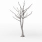 Diorama Modellbau Produktfoto 3: Diorama Pflanzen: Kahler Baum mit Wurzeln (Ref. 1102D)