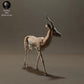 Produktfoto Tier Figur Diorama, Modellbau: 0: Tiere der Savanne Figur: Thomson-Gazelle (Ref 01_01_57)