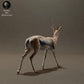 Produktfoto Tier Figur Diorama, Modellbau: 0: Tiere der Savanne Figur: Thomson-Gazelle (Ref 01_01_57)