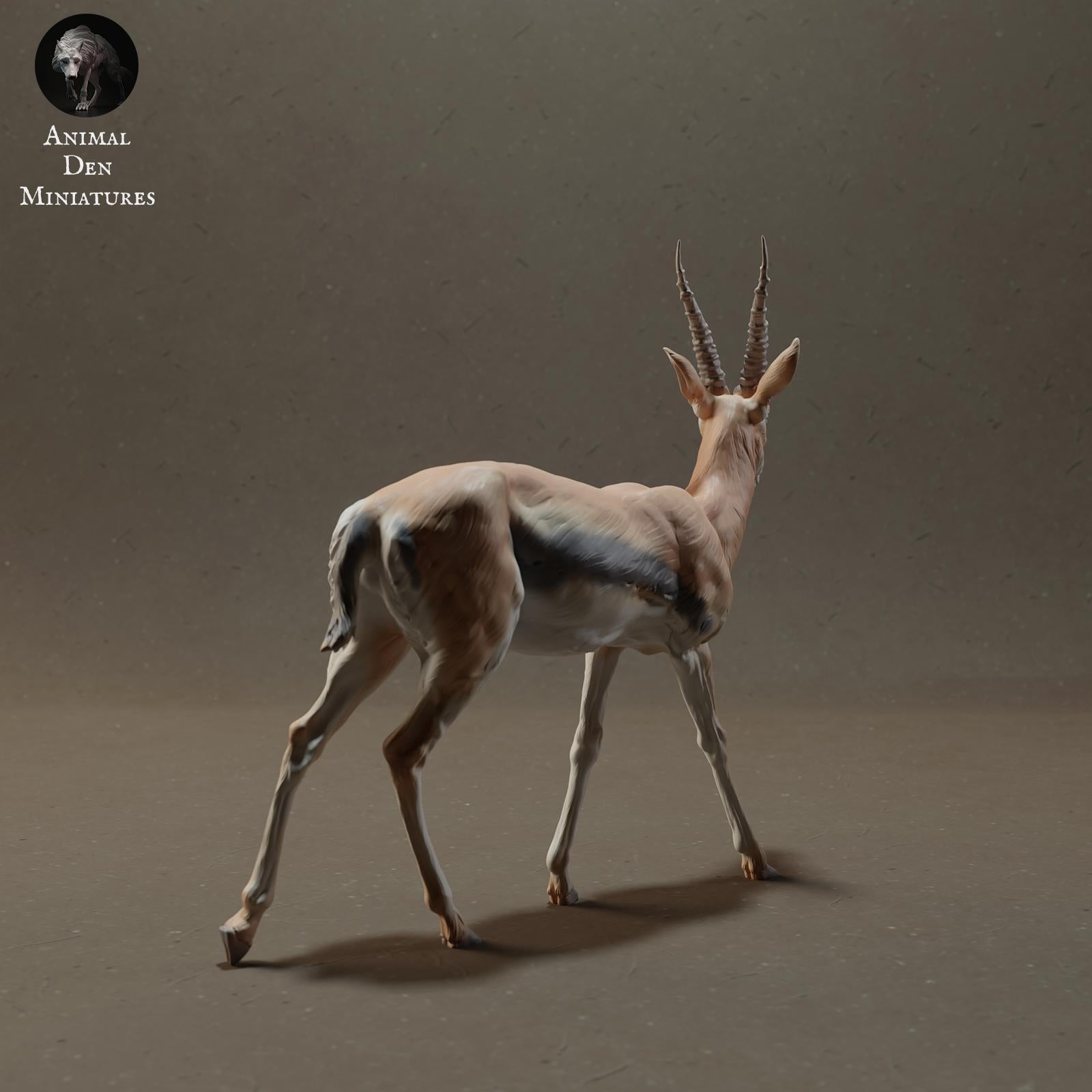 Produktfoto Tier Figur Diorama, Modellbau: 0: Tiere der Savanne Figur: Thomson-Gazelle (Ref 01_01_57)