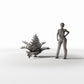 Diorama Modellbau Produktfoto 1: Diorama Pflanzen: Farnpflanze mit Wedeln (Ref. 459D)