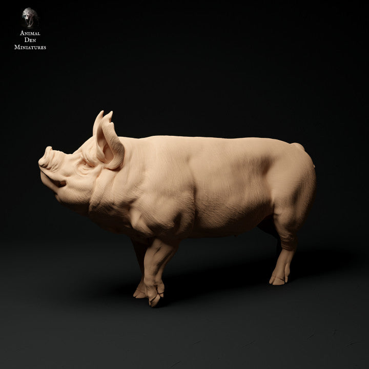 Produktfoto Tier Figur Diorama, Modellbau: 0: Bauernhof Tier Figuren: Eber - Berkshire Pig