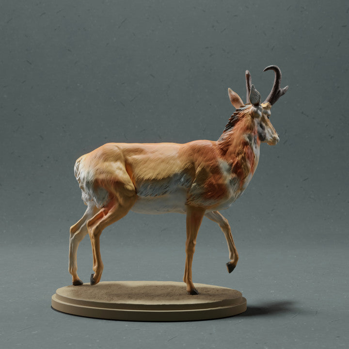 Produktfoto Tierfigur Animal Den Miniatures 2: Wildtier Tierfigur: Gabelbock - Männchen (22_10_09)