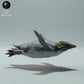 Produktfoto Tierfigur Animal Den Miniatures 2: Meerestier Tierfigur: Felsenpinguin - schwimmend (22_12_10)