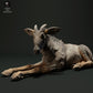 Produktfoto Tierfigur Animal Den Miniatures 2: Wildtier Tierfigur: Sumatra-Serau - liegend (23_05_05)