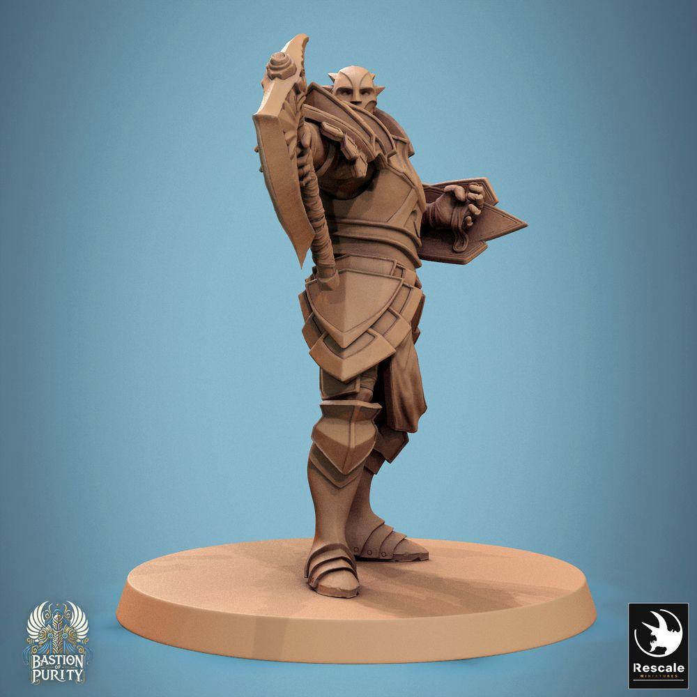 Produktfoto Tabletop 28mm Lord of the Print (LotP) 0: Tabletop Miniatur: Elfischer Bastionskrieger mit Axt und Schild - Paladin, Ritter, Schildkrieger, Champion (24_09_C20)