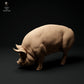 Produktfoto Tier Figur Diorama, Modellbau: 0: Bauernhof Tier Figuren: Schwein grasend - Berkshire Pig