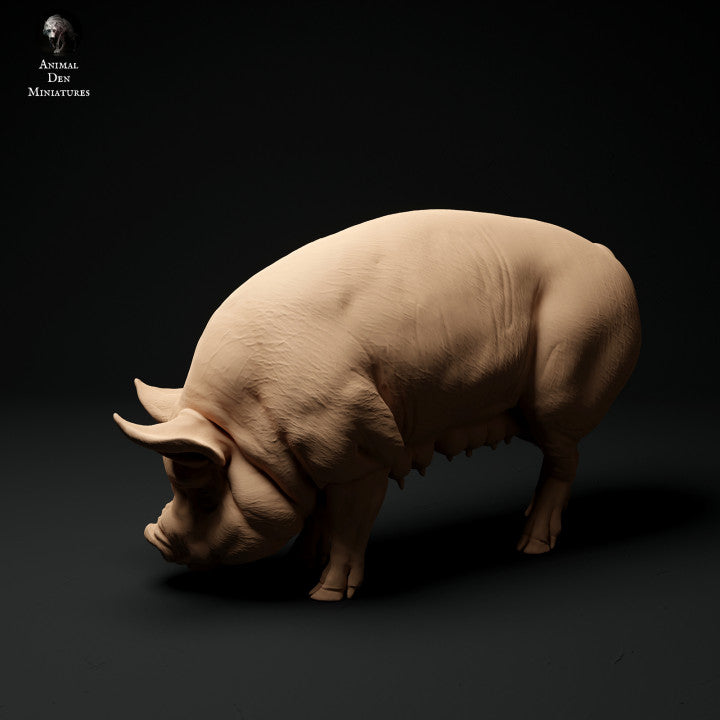 Produktfoto Tier Figur Diorama, Modellbau: 0: Bauernhof Tier Figuren: Schwein grasend - Berkshire Pig