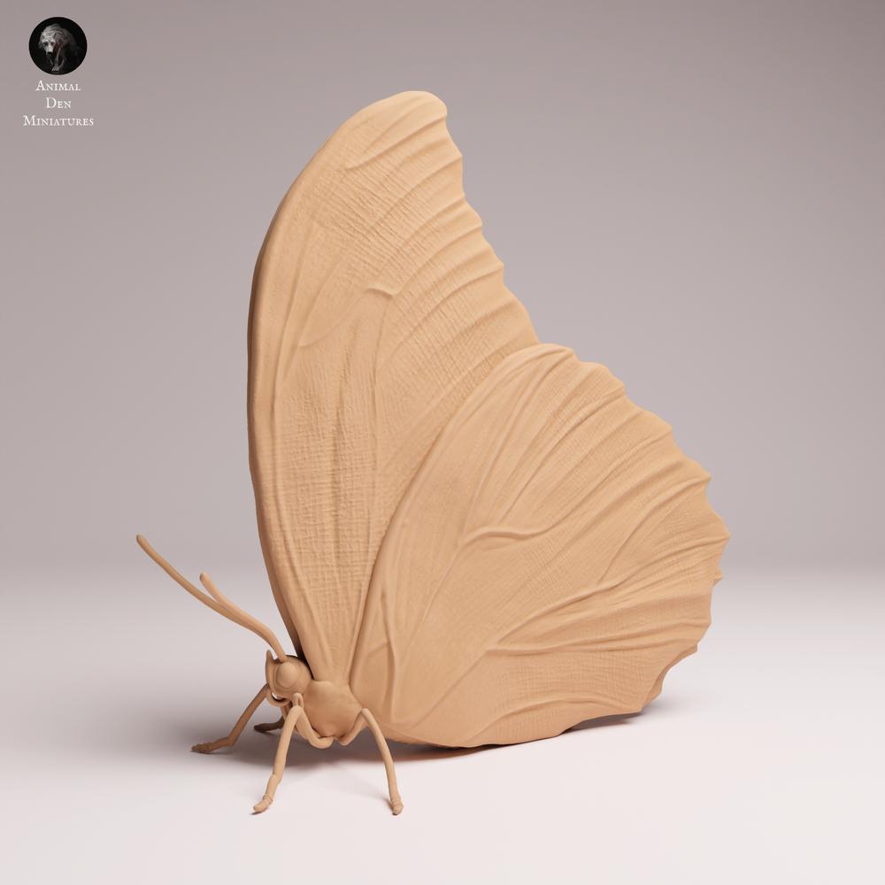 Produktfoto Tabletop 28mm Lord of the Print (LotP) 2: Insekten Tierfigur: Blauer Morphofalter - Fluegel geschlossen