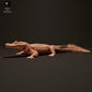 Produktfoto Tierfigur Animal Den Miniatures 1: Reptilien Tierfigur: Schwarzer Kaiman - beim Sonnenbaden (23_06_07)
