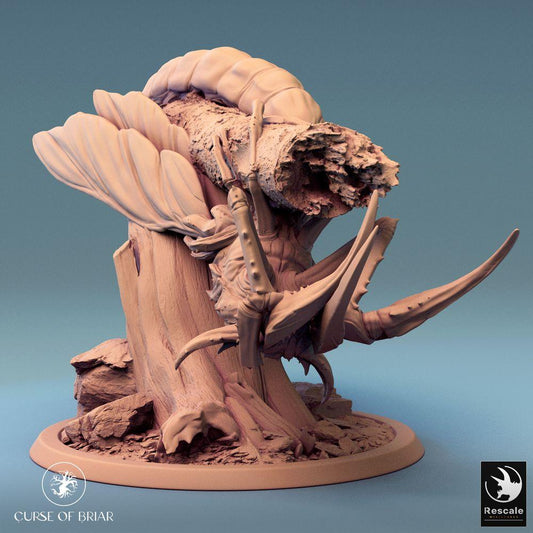 Produktfoto Tabletop 28mm Lord of the Print (LotP) 0: Fantasy Figur: Riesenkäfer-Monster, Skarabäus-Boss, insektoide Waldbestie (24_07_E2)