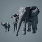 Afrikanische Elefanten Kuh und Kalb - Tiere der Savanne (23_02_04)