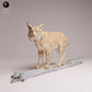 Produktfoto Tabletop 28mm Lord of the Print (LotP) 3: Wildtier Tierfigur: Eurasischer Luchs - auf einem Baum (26_07_04)