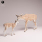 Produktfoto Tabletop 28mm Lord of the Print (LotP) 3: Wildtier Tierfigur: Damhirschkuh - mit Kalb (26_01_04)