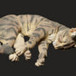 Produktfoto Tier Figur Diorama, Modellbau: 0: Haustier Figur: schlafende Katze