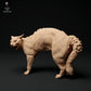 Produktfoto Tier Figur Diorama, Modellbau: 0: Haustier Figur: Katze sträubt sich