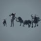 Löwen jagen afrikanischen Büffel - Tiere der Savanne (23_02_09)