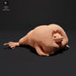 Produktfoto 0: Amphibien Tierfigur: Mexikanische Grabkröte - quakend (23_09_04)