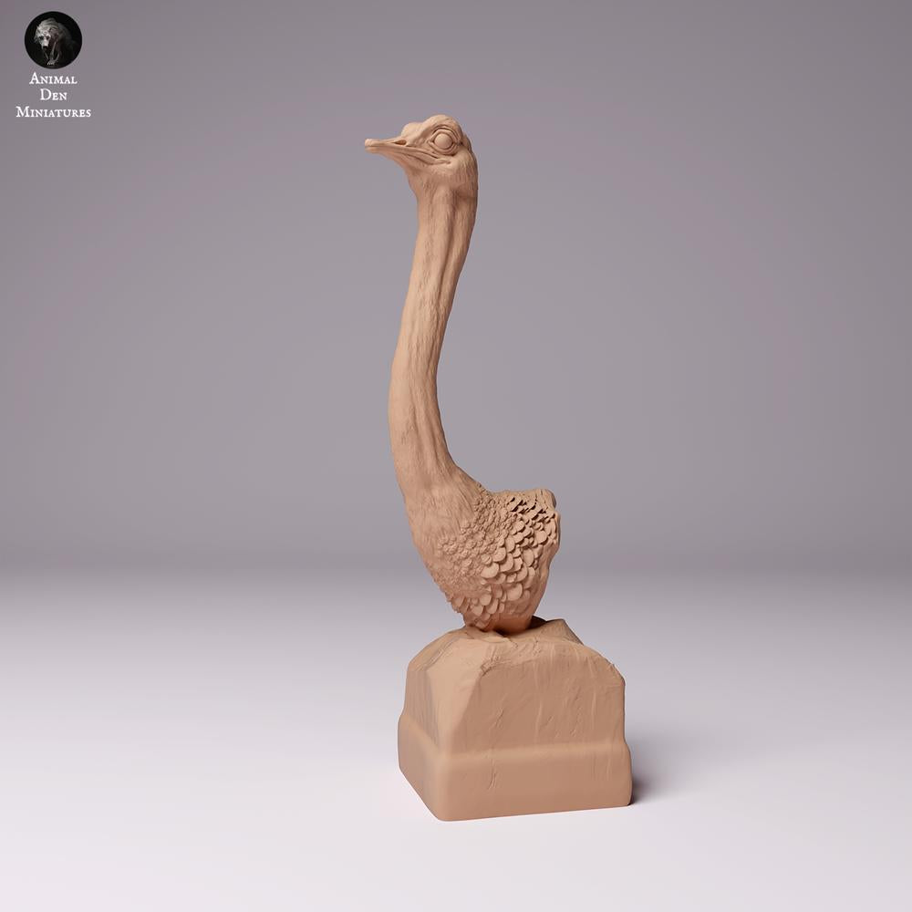 Produktfoto Tierfigur Animal Den Miniatures 0: Wildtier Tierfigur: Nordafrikanischer Strauß - Büste (24_07_10)