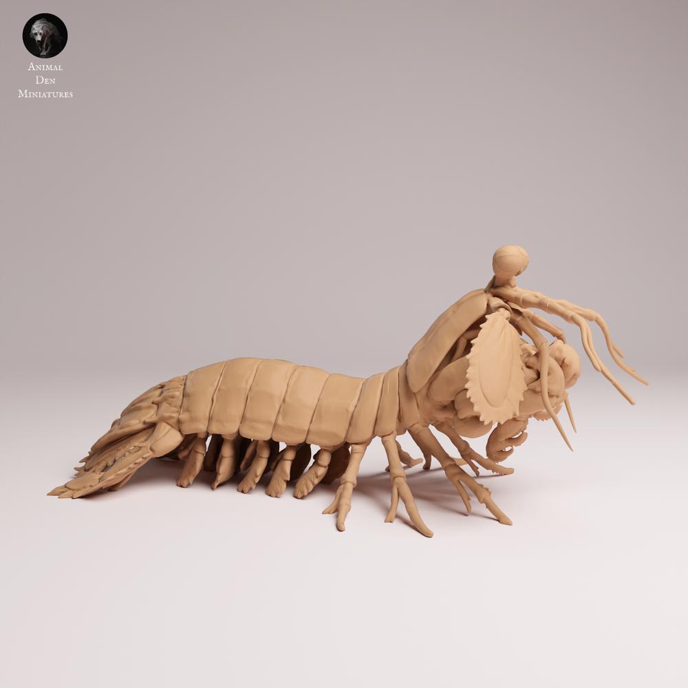 Produktfoto 0: Meerestier Tierfigur: Pfauenaugen-Fangschreckenkrebs (25_10_02)