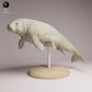 Produktfoto Tabletop 28mm Lord of the Print (LotP) 3: Meeressaeuger Tierfigur: Stellers Seekuh - mit Kalb (26_04_06)